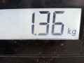 защита арок передняя левая (подкрылок) BMW X3 E83 2005, 3.0 л., АКПП, внедорожник 5 дв., 51713400053 - фото №5