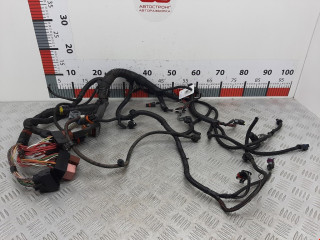 проводка Renault Sandero 1 поколение 2010, 1.2 л., МКПП, хетчбэк 5 дв., 8200379181