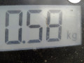 блок управления двигателем Opel Astra H 2007, 1.6 л., МКПП, хетчбэк 5 дв., 55559394 - фото №5