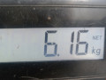 ступица передняя правая Citroen C3 1 поколение 2002, 1.4 л., МКПП, хетчбэк 5 дв., 330776 - фото №5