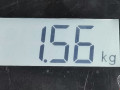 амортизатор задний левый Hyundai Galloper 2 поколение 2000, 2.5 л., МКПП, внедорожник 5 дв., 55300M1020 - фото №6