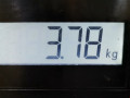 пружина задняя Ford Focus 1 поколение [рестайлинг] 2004, 1.4 л., МКПП, хетчбэк 3 дв., 1150568 - фото №4