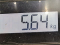 рулевая рейка Opel Corsa C 2001, 1.0 л., МКПП, хетчбэк 5 дв., 13272667 - фото №7
