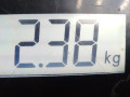 пружина задняя Audi A3 8P/8PA [2-й рестайлинг] 2010, 2.0 л., АКПП, хетчбэк 3 дв., 8P0511115BH - фото №4