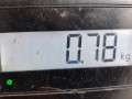 трубка охлаждающей жидкости Opel Astra H 2005, 1.9 л., МКПП, хетчбэк 3 дв., 55566009 - фото №3