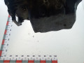 двигатель Chevrolet Captiva 1 поколение 2008, 2.0 л., Z 20 S1, дизель, МКПП, внедорожник 5 дв., 96862840 - фото №8