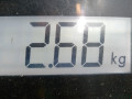 суппорт задний левый Peugeot 307 1 поколение [рестайлинг] 2006, 1.6 л., МКПП, универсал, 4400N4 - фото №6