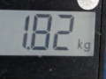 подушка крепления двигателя Skoda Octavia 2 поколение (A5) 2006, 2.0 л., МКПП, универсал, 1K0199555L - фото №6