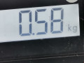 подушка безопасности сиденья BMW X1 E84 2010, 2.0 л., МКПП, внедорожник 5 дв., 72122991555 - фото №5