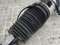 пневмостойка передняя BMW X5 G05 [рестайлинг] G05 2023, 3.0 л., B58B30, бензин, АКПП, внедорожник 5 дв., 37106892425 - фото №6