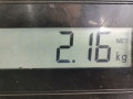 суппорт задний правый SEAT Leon 1 поколение 2001, 1.4 л., МКПП, хетчбэк 5 дв., 1J0615424H - фото №5