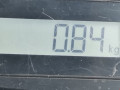 подушка крепления двигателя Opel Astra G 1998, 1.6 л., МКПП, хетчбэк 5 дв., 90575772 - фото №4