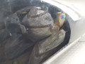дверь передняя правая Mercedes-Benz C-Класс W204/S204 2008, 2.2 л., АКПП, универсал, A2047206000 - фото №6