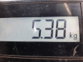 компрессор кондиционера Renault Clio 2 поколение 2001, 1.2 л., МКПП, хетчбэк 5 дв., 8200840770 - фото №8