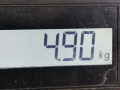суппорт передний правый Ford Focus 2 поколение 2008, 2.0 л., МКПП, хетчбэк 5 дв., 1682875 - фото №6