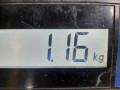 проводка Volkswagen Polo 4 поколение 2002, 1.9 л., МКПП, хетчбэк 3 дв. - фото №4