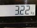 шкив коленвала Mazda CX-7 1 поколение [рестайлинг] ER 2010, 2.5 л., АКПП, внедорожник 5 дв., CV6Z6312D - фото №4