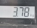 полуось передняя правая (приводной вал, ШРУС) Renault Megane 2 поколение [рестайлинг] 2007, 2.0 л., МКПП, хетчбэк 3 дв., 8200790517 - фото №5