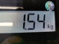 пружина задняя Renault Laguna 3 поколение 2009, 2.0 л., МКПП, хетчбэк 5 дв., 550200001N - фото №3