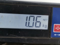 петля двери Volkswagen Golf 4 поколение 1997, 1.6 л., МКПП, хетчбэк 5 дв., 4B0831411B - фото №5