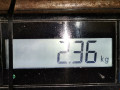 Клапан ТНВД Opel Meriva 1 поколение (A) [рестайлинг] 2007, 1.7 л., МКПП, минивэн, 97376271 - фото №6