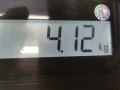 пружина задняя Toyota Auris 1 поколение 2007, 2.0 л., МКПП, хетчбэк 5 дв., 4823102550 - фото №4