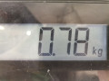 ручка наружная Peugeot Partner 2 поколение (B9) [рестайлинг] 2013, 1.6 л., МКПП, минивэн, 9101GF - фото №5