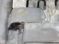 катушка зажигания Volkswagen Polo 3 поколение 2001, 1.0 л., МКПП, хетчбэк 3 дв., 032905106F - фото №8