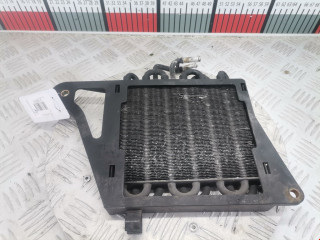 радиатор (основной) SEAT Alhambra 1 поколение [рестайлинг] 2003, 1.9 л., МКПП, минивэн, 7M3121093A