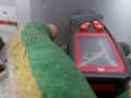крыло переднее левое Honda Civic 7 поколение 2001, 1.6 л., МКПП, хетчбэк 5 дв., 60211S6AE00ZZ - фото №3