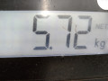 барабан тормозной Opel Corsa D [рестайлинг] 2011, 1.2 л., МКПП, хетчбэк 5 дв., 568269 - фото №4