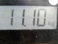 маховик Skoda Fabia 2 поколение [рестайлинг] 2011, 1.2 л., МКПП, хетчбэк 5 дв., 038105269CX - фото №8