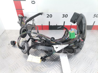 проводка Land Rover Range Rover Sport 1 поколение 2006, 2.7 л., АКПП, внедорожник 5 дв.