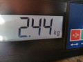стеклоподъемник электрический передний левый Ford Fiesta 6 поколение 2011, 1.3 л., МКПП, хетчбэк 5 дв., 1837995 - фото №6