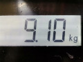 маховик Renault Twingo 1 поколение [рестайлинг] 2000, 1.2 л., МКПП, хетчбэк 3 дв., 8200498703 - фото №7
