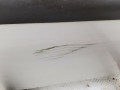 дверь передняя правая SEAT Ibiza 3 поколение 2004, 1.9 л., МКПП, хетчбэк 3 дв., 6L3831056R - фото №7