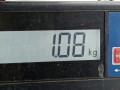 катушка зажигания Opel Astra H 2006, 1.4 л., МКПП, хетчбэк 5 дв., 93177212 - фото №8