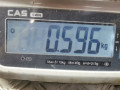 помпа Skoda Octavia 2 поколение (A5) [рестайлинг] 2008, 1.6 л., МКПП, хетчбэк 5 дв., 03C121005C - фото №4