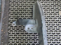 усилитель бампера переднего Volkswagen Golf 4 поколение 2004, 1.6 л., МКПП, хетчбэк 5 дв., 1K0807093A - фото №3