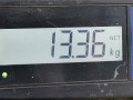 диск тормозной задний Mercedes-Benz CLS-Класс C219 2006, 3.2 л., АКПП, купе - фото №8