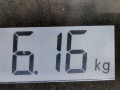 диск тормозной задний Honda Civic 6 поколение (EJ/EK/EM) 1996, 1.6 л., МКПП, хетчбэк 5 дв., 42510SK3305 - фото №5