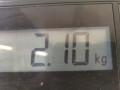 стекло двери задней левой Renault Megane 3 поколение 2009, 1.5 л., МКПП, хетчбэк 5 дв., 823010007R - фото №3
