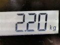 крышка двигателя задняя BMW 5 серия F07/F10/F11 2011, 2.0 л., АКПП, универсал, 11148591627 - фото №4