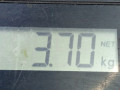 стартер SEAT Ibiza 2 поколение 1996, 1.4 л., МКПП, хетчбэк 3 дв., 036911023QX - фото №7