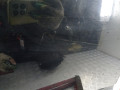 дверь передняя левая Land Rover Freelander 2 поколение 2006, 2.2 л., МКПП, внедорожник 5 дв., LR023161 - фото №4