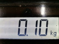 датчик уровня масла Citroen Xsara 1 поколение [рестайлинг] 2003, 1.6 л., МКПП, хетчбэк 5 дв., 1131G4 - фото №4