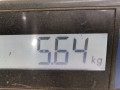 стеклоподъемник электрический передний левый Audi A4 B5 [рестайлинг] 2001, 8D0837461 - фото №7