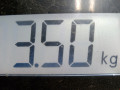 вентилятор радиатора Mazda 3 BL 2009, 1.6 л., МКПП, хетчбэк 5 дв. - фото №5