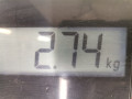 стекло двери передней правой Acura TSX 1 поколение 2006, 2.4 л., АКПП, седан, 73300SECA10 - фото №3
