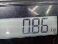 защита арок передняя правая (подкрылок) Opel Omega B 1998, 2.0 л., МКПП, седан, 90378708 - фото №7